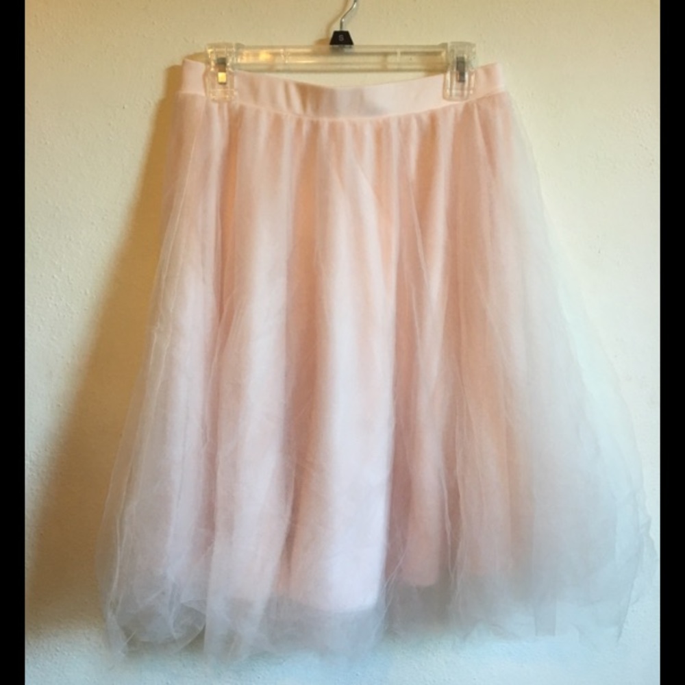 Blush Tulle Midi Skirt NWT